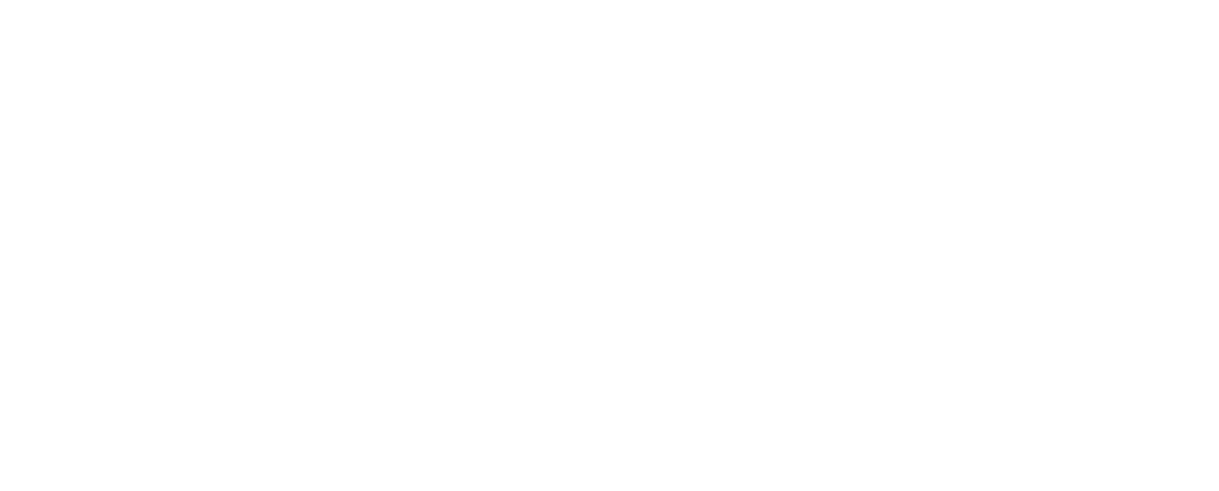 DealCatalyst White Logo